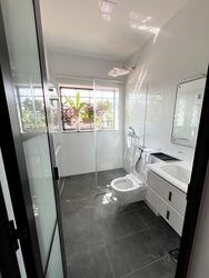 Goldhill Garden (D11), Terrace #610021751